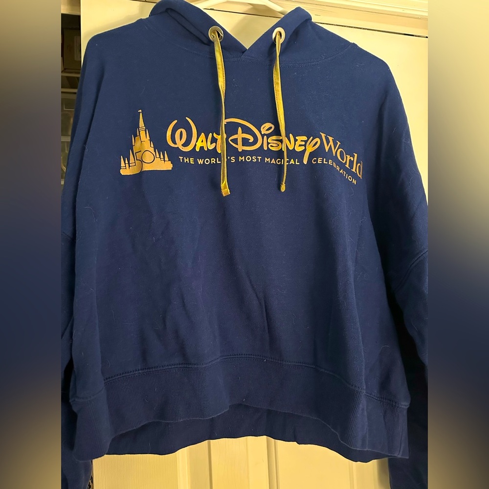 Walt Disney World Pullover Hooded Sweatshirt